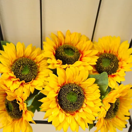 Appartement Kallichoron 1 Fortezza *